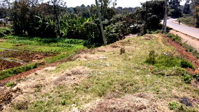 1/4 Acre Rhino Park Road at 40m - Image 9