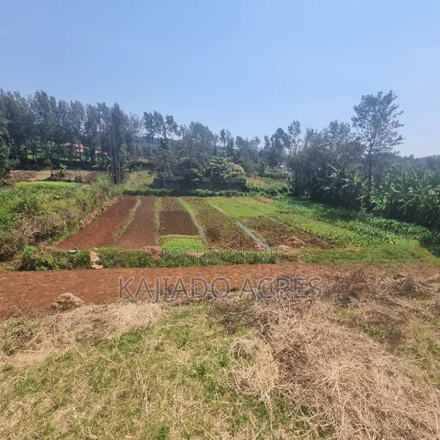 1/4 Acre Rhino Park Road at 40m