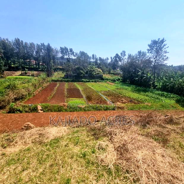 1/4 Acre Rhino Park Road at 40m