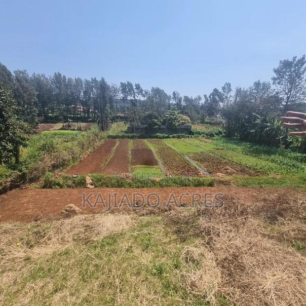 1/4 Acre Rhino Park Road at 40m