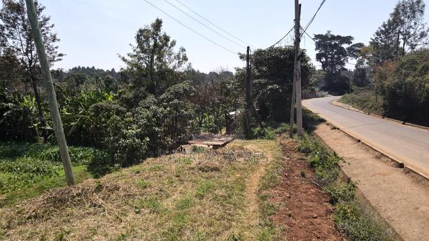 1/4 Acre Rhino Park Road at 40m