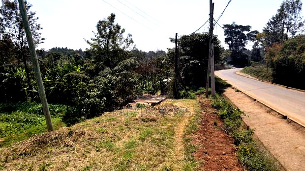 1/4 Acre Rhino Park Road at 40m