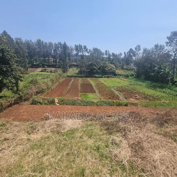 1/4 Acre Rhino Park Road at 40m