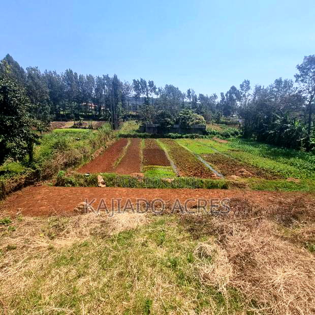 1/4 Acre Rhino Park Road at 40m
