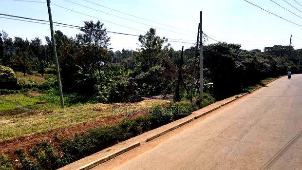 1/4 Acre Rhino Park Road at 40m