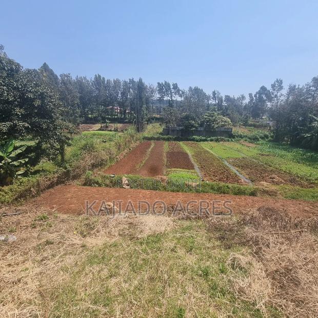 1/4 Acre Rhino Park Road at 40m