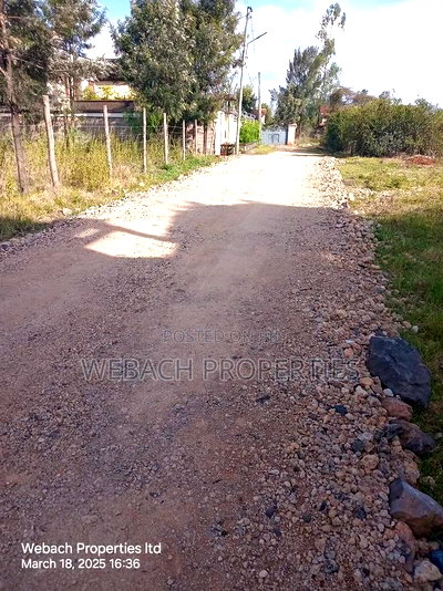 Prime 1/4 Acre Parliament Road - Image 3