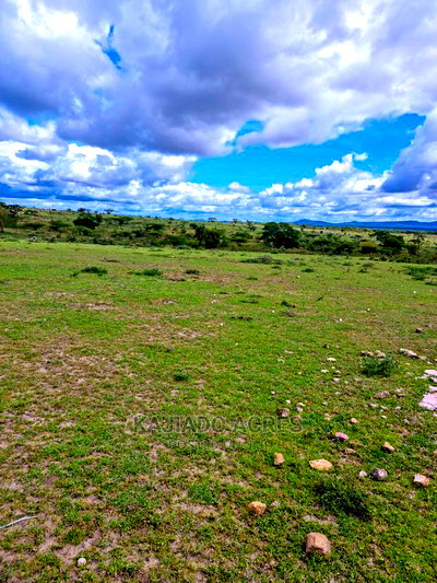 Prime 5 Acres Touching Tarmac in Dalalekutuk at 3m - Image 3