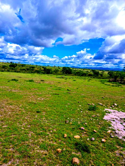 Prime 5 Acres Touching Tarmac in Dalalekutuk at 3m - Image 6