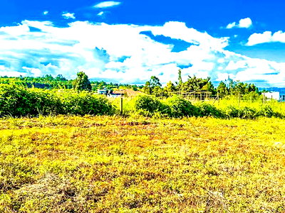Prime Residential Plots for Sale in Kikuyu, Kamangu - Image 3