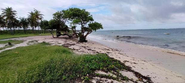3.3 Acres Fronting Beach in Msambweni