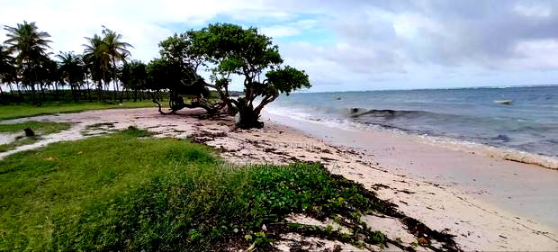 3.3 Acres Fronting Beach in Msambweni