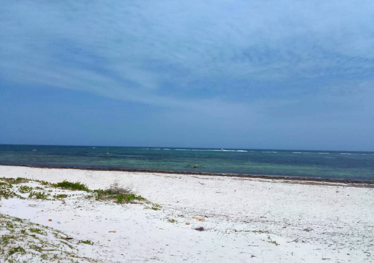 2-Acre Beach Plot at KSh 40M