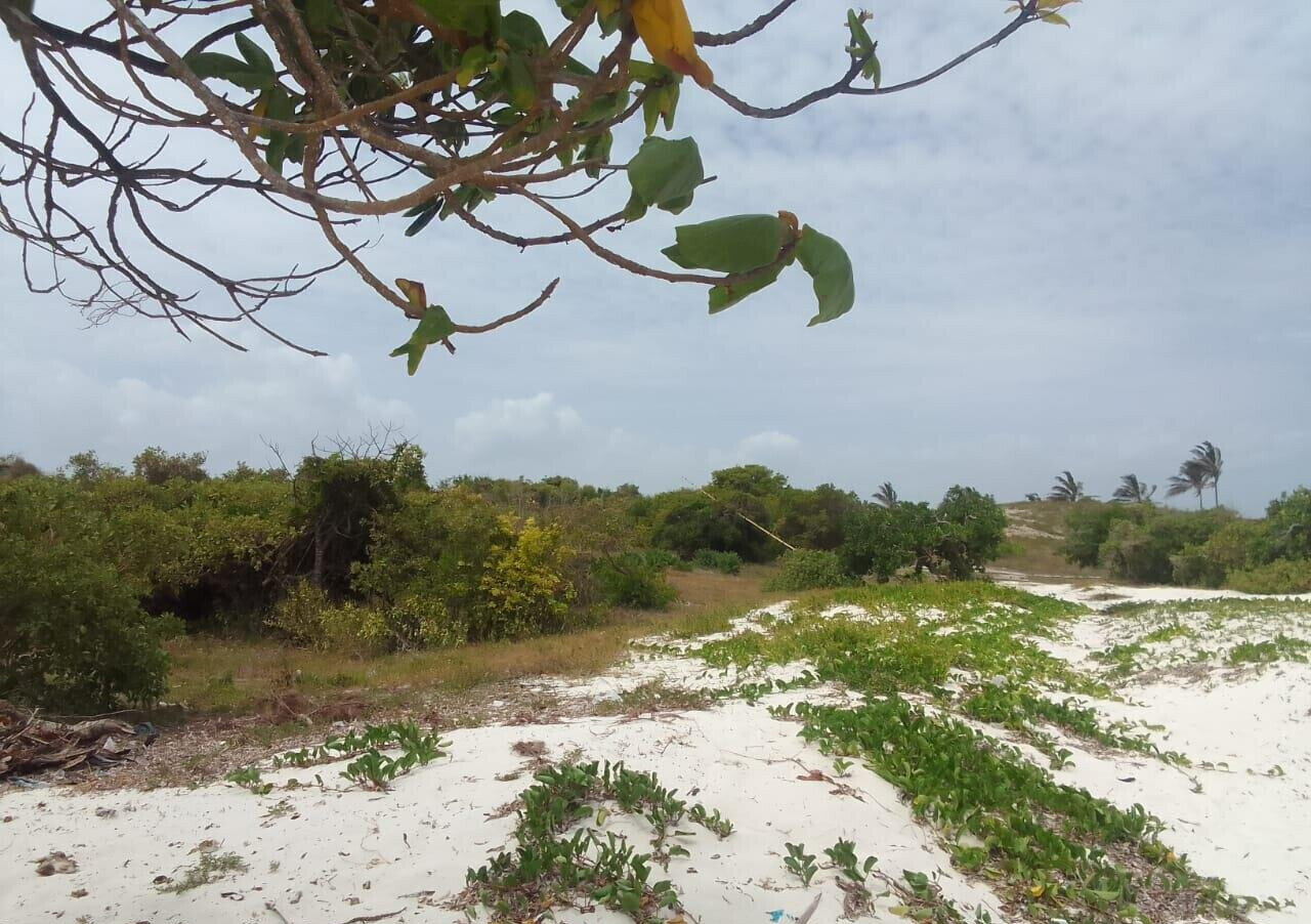 2-Acre Beach Plot at KSh 40M