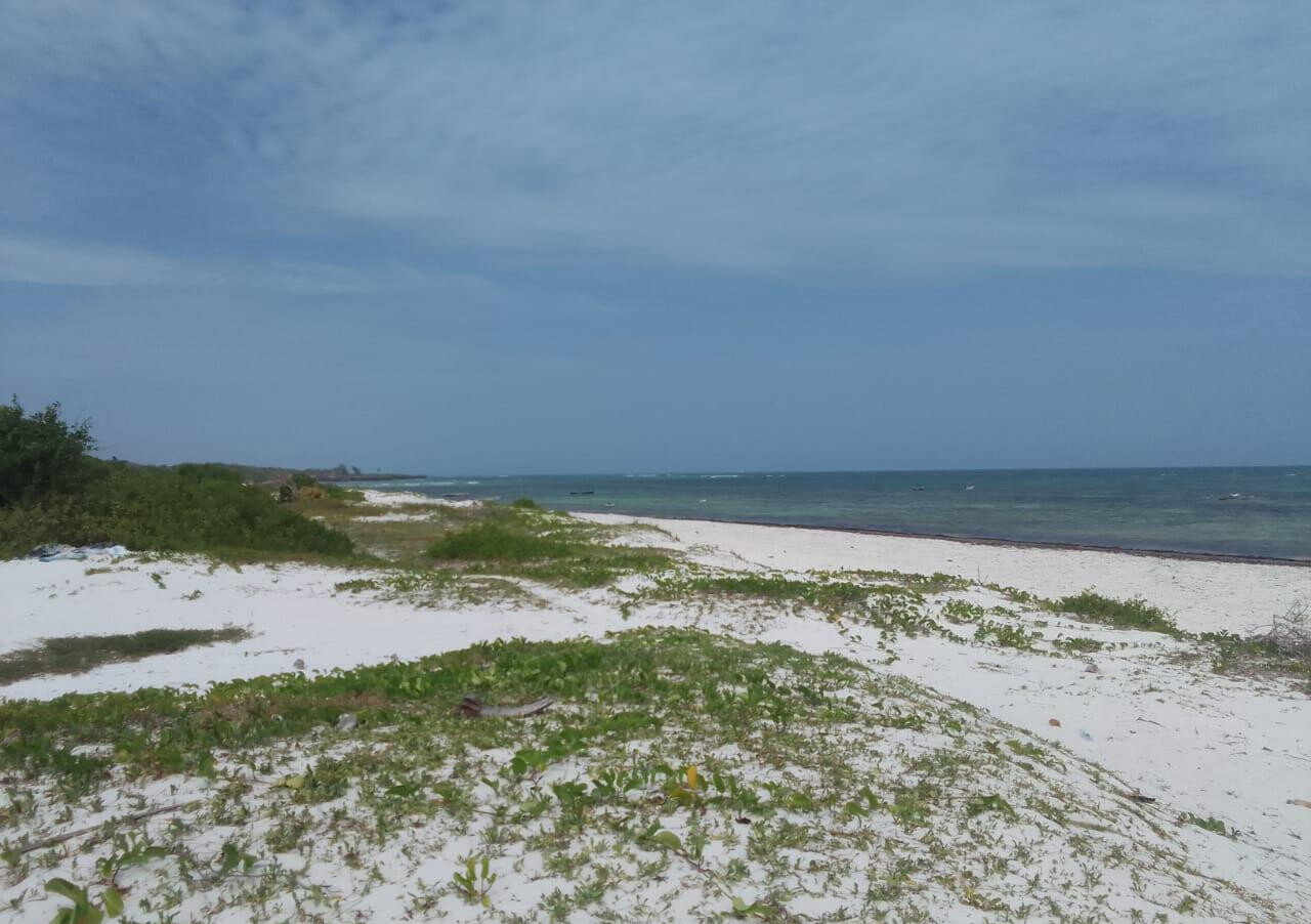 2-Acre Beach Plot at KSh 40M