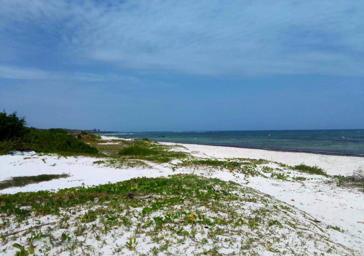 2-Acre Beach Plot at KSh 40M
