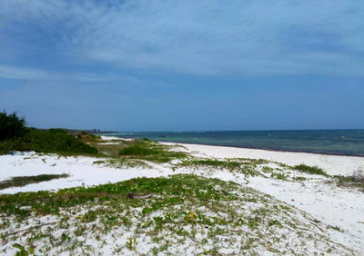 2-Acre Beach Plot at KSh 40M