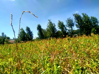 Quarter Acre in Kiserian Near Tarmac and Good Neighborhood - Image 7