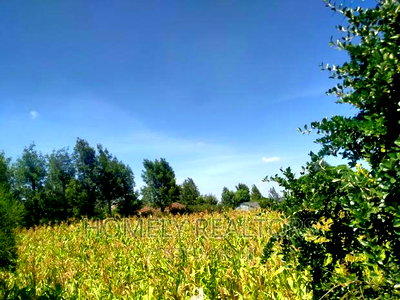 Quarter Acre in Kiserian Near Tarmac and Good Neighborhood - Image 1