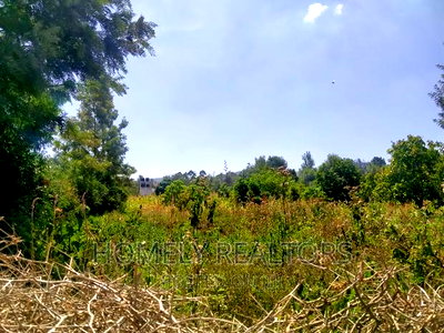 Quarter Acre in Kiserian Near Tarmac and Good Neighborhood - Image 2