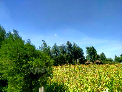 Quarter Acre in Kiserian Near Tarmac and Good Neighborhood - Image 5