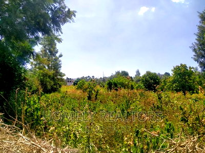 Quarter Acre in Kiserian Near Tarmac and Good Neighborhood - Image 3