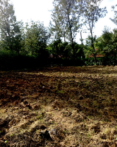 KSh 7M Residential Plot in Nkoroi