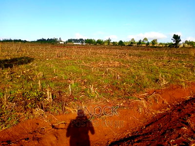 1/4acre Plots for Sale in Kaptuli, Eldoret - Image 5