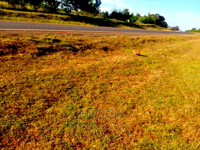 1/4acre Plots for Sale in Kaptuli, Eldoret - Image 6