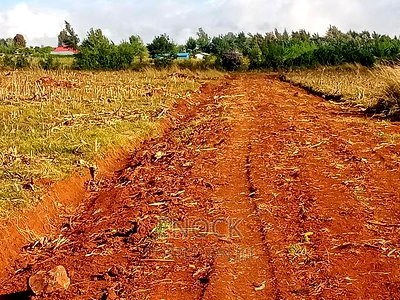 1/4acre Plots for Sale in Kaptuli, Eldoret - Image 1