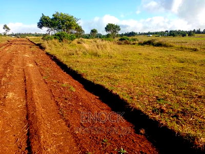 1/4acre Plots for Sale in Kaptuli, Eldoret - Image 9