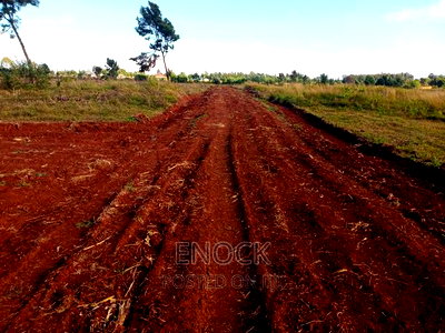 1/4acre Plots for Sale in Kaptuli, Eldoret - Image 7