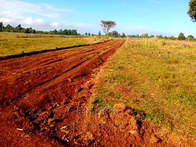 1/4acre Plots for Sale in Kaptuli, Eldoret - Image 10