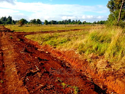 1/4acre Plots for Sale in Kaptuli, Eldoret - Image 3