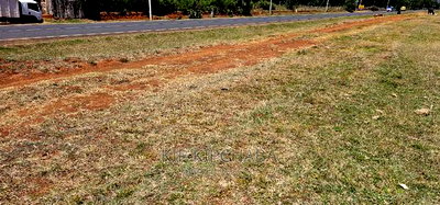 1/4 Plot Touching Highway for Isle in Chepkanga Eldoret - Image 4