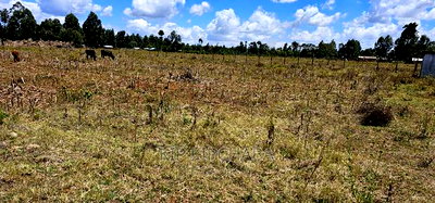 1/4 Plot Touching Highway for Isle in Chepkanga Eldoret - Image 3