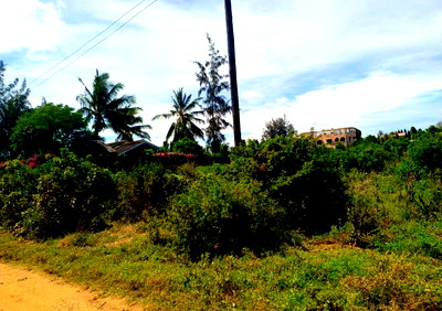 Quarter Acre Plot in Malindi's Casuarina