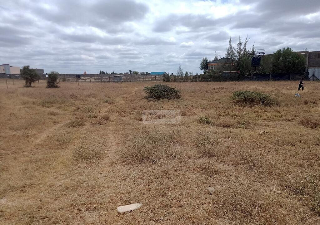 50x100 Plot at KSh 2.3M