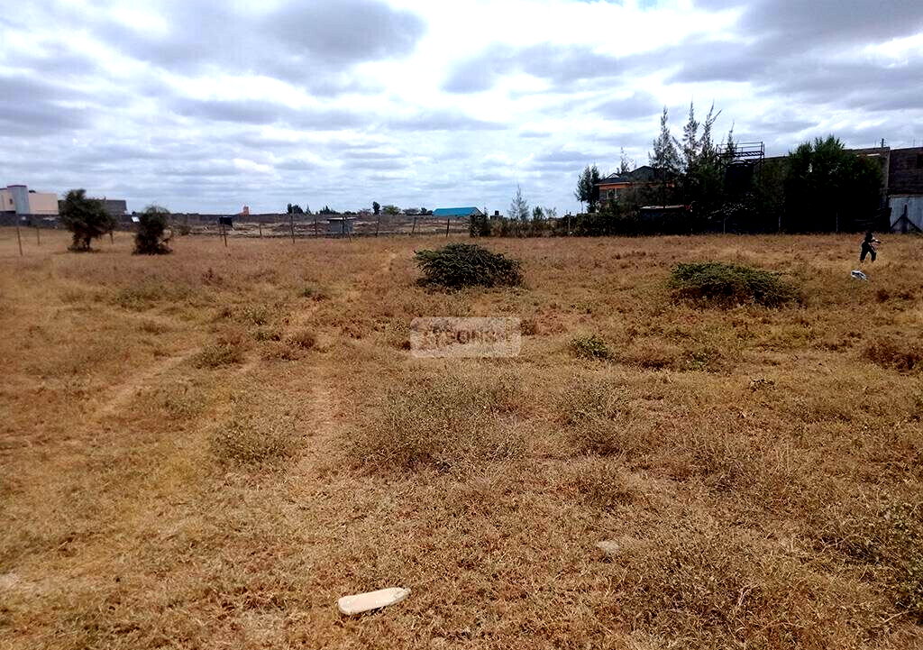 50x100 Plot at KSh 2.3M