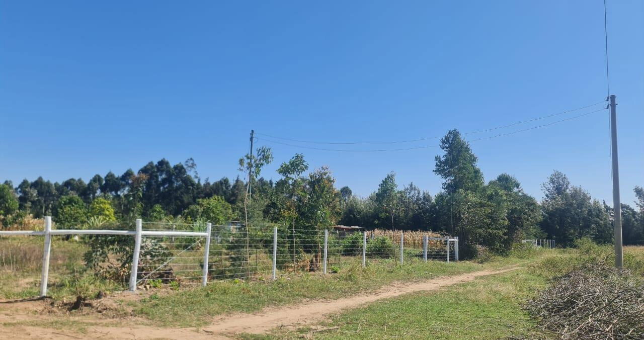 1/8 Acre Plot at KSh 490K