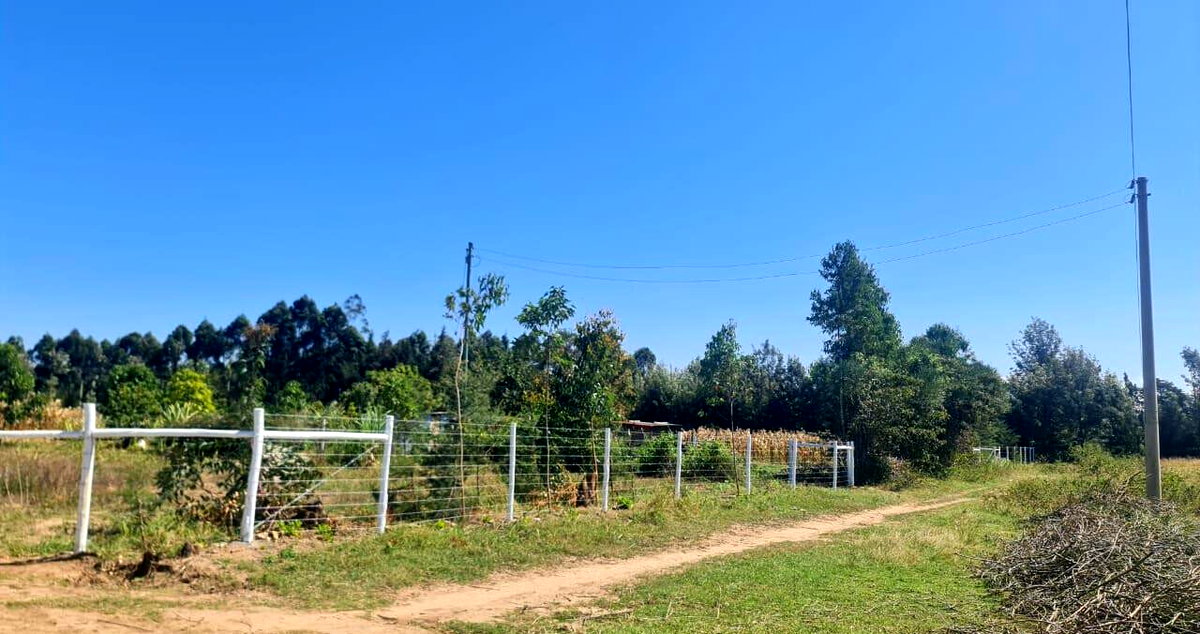 1/8 Acre Plot at KSh 490K
