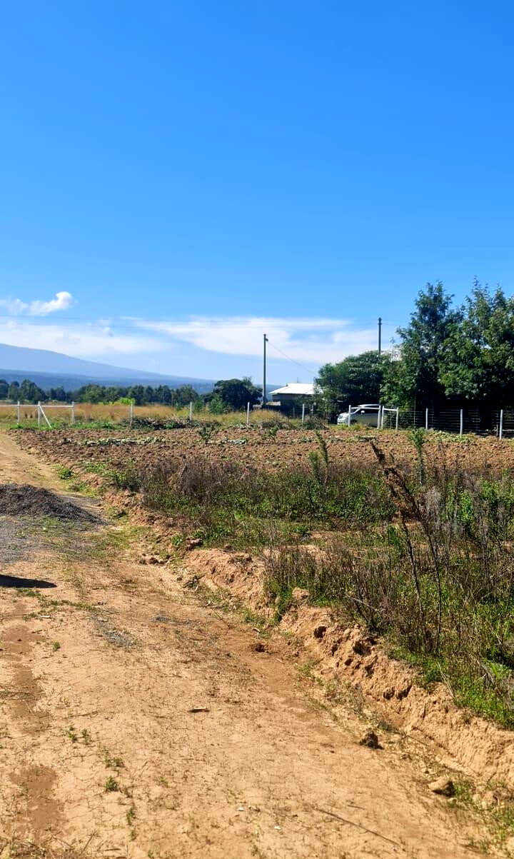 1/8 Acre Plot at KSh 490K