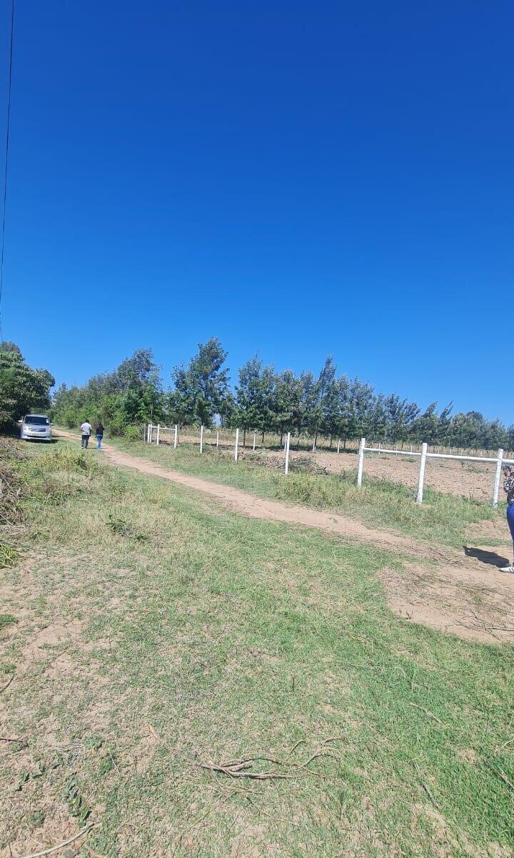 1/8 Acre Plot at KSh 490K