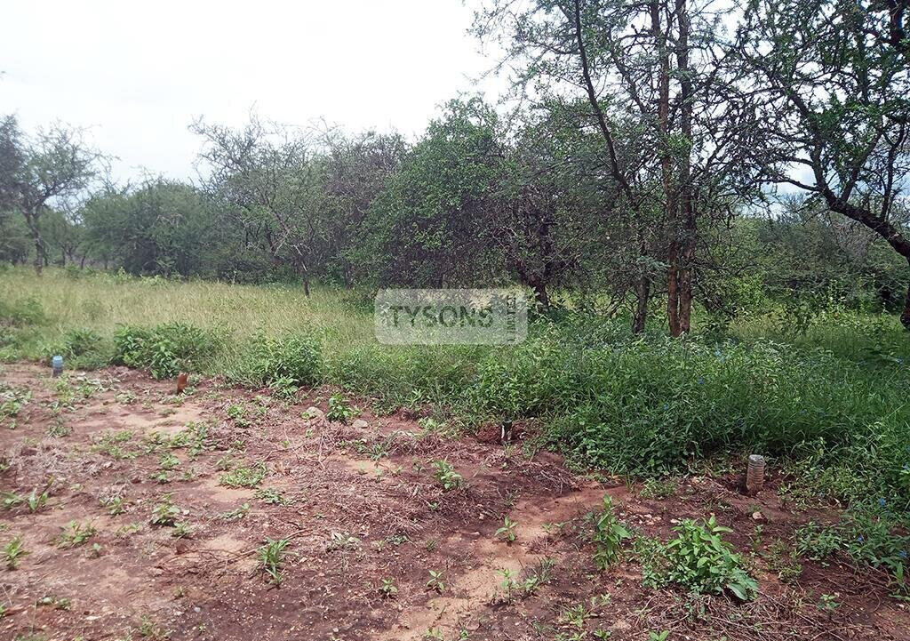 1 Acre Plot in Oloika, Kajiado