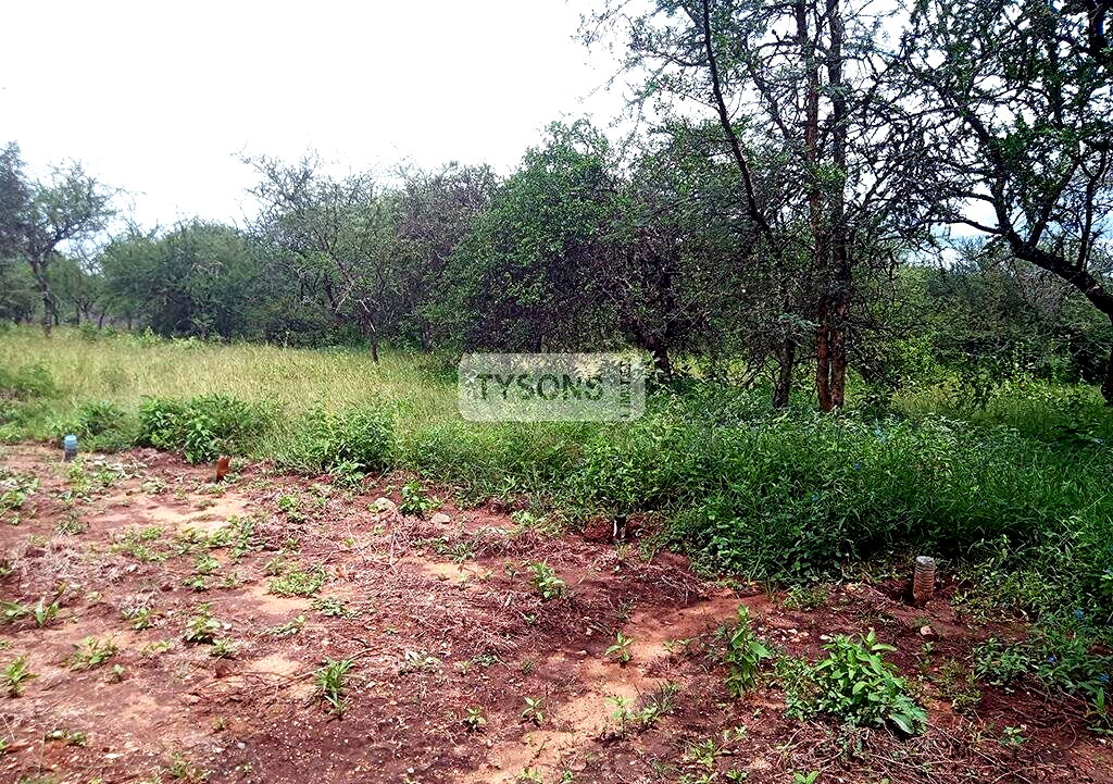 1 Acre Plot in Oloika, Kajiado