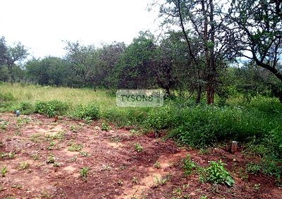1 Acre Plot in Oloika, Kajiado