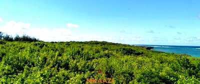 20-Acre Beachfront Land in Chumani for KSh 350M