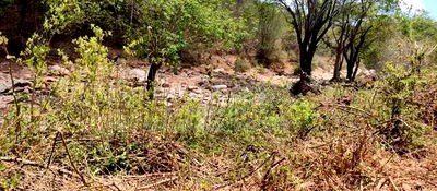 Embu,Mbeere 17 Acres Agricultural Farmland - Image 11