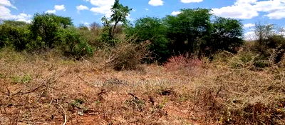 Embu,Mbeere 17 Acres Agricultural Farmland - Image 2