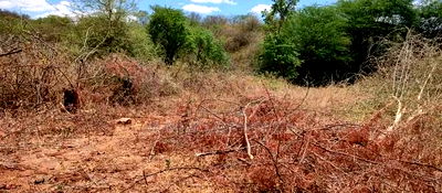 Embu,Mbeere 17 Acres Agricultural Farmland - Image 4